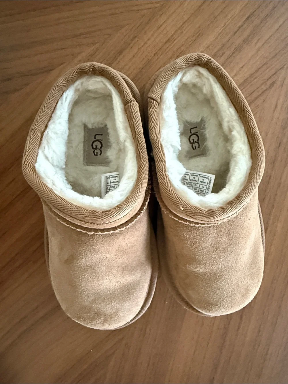 UGG cozy suede